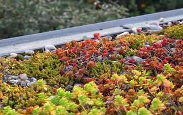 the cost of Tregyddulan green roof installation
