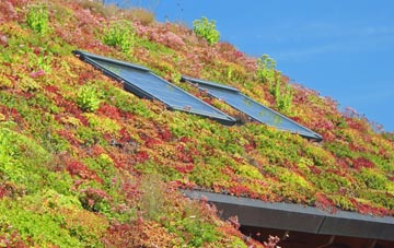 Tregyddulan living roof systems