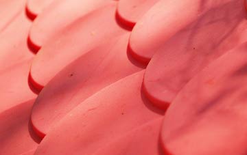 Tregyddulan plastic roof costs