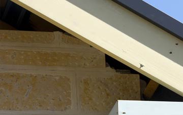 soffit repair Tregyddulan