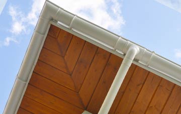 Tregyddulan soffit types