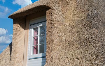 Tregyddulan thatch roof disadvantages
