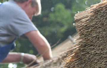 professional Tregyddulan thatchers